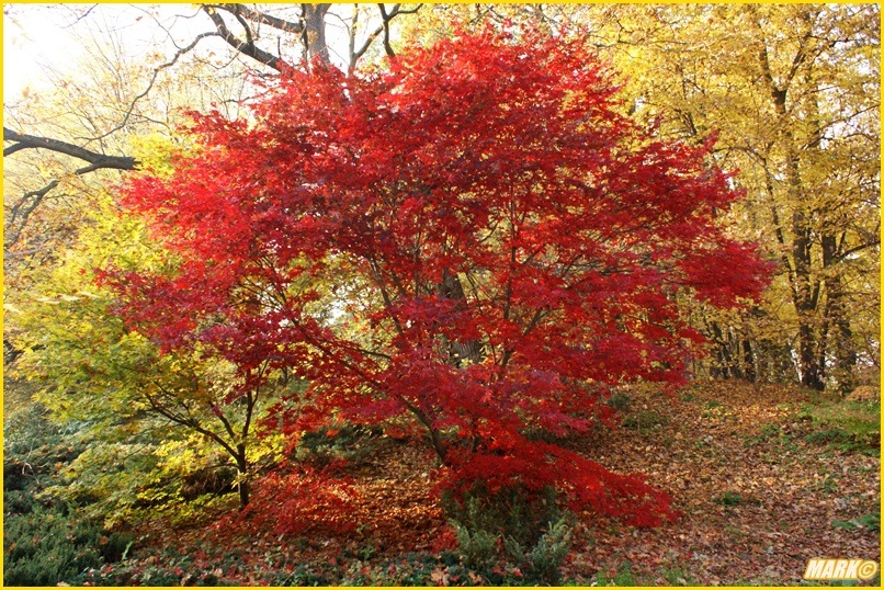 Kolory Jesieni - Blog 11