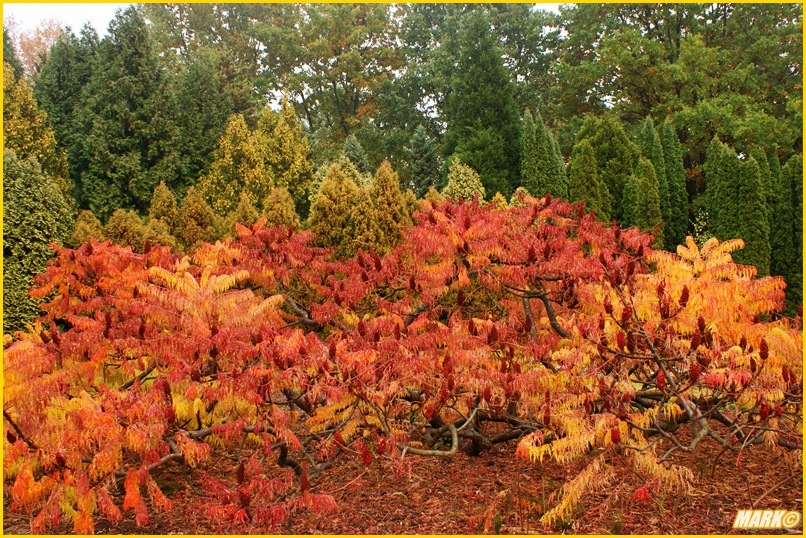 Kolory Jesieni - Blog 17
