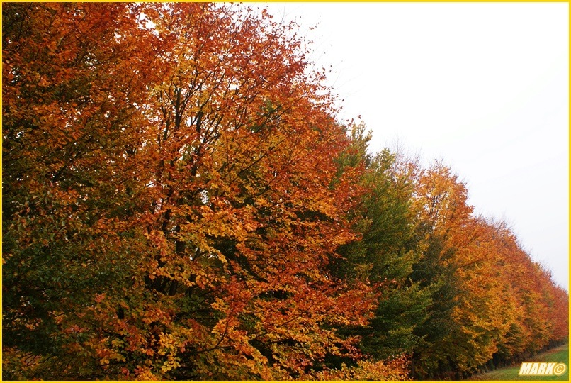 Kolory Jesieni - Blog 20