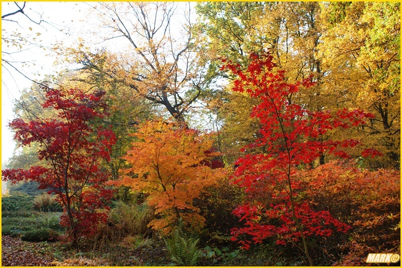Kolory Jesieni - Blog 3